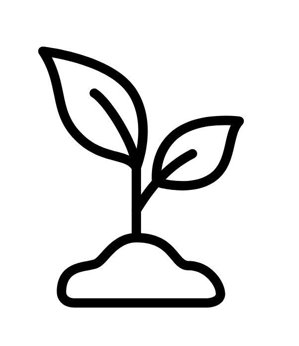 Évolution à votre rythme